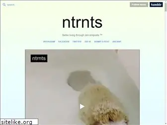 ntrnts.com