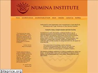 numinainstitute.com