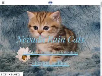 nvraincats.com