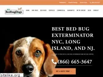 nybedbugdogs.com