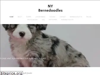 nybernedoodles.weebly.com