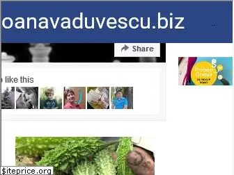 oanavaduvescu.biz