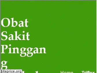 obatsakitpinggangterbaik.com