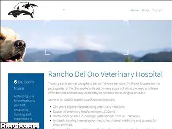 oceansidevet.com