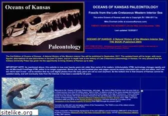 oceansofkansas.com