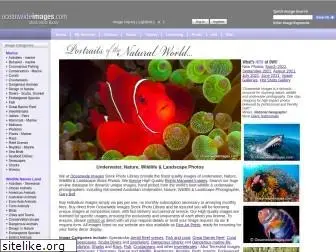 oceanwideimages.com