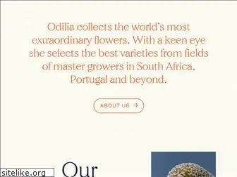 odiliaflowers.com