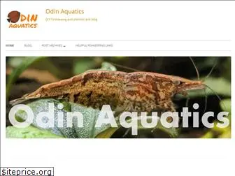 odinaquatics.com