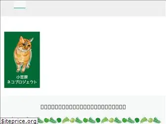 ogasawaraneko.jp