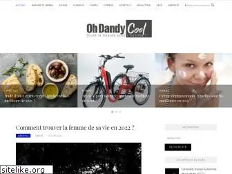 ohdandycool.com