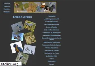 oiseaux-birds.com