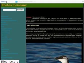 oiseaux13.canalblog.com