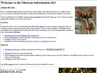 oleaceae.info