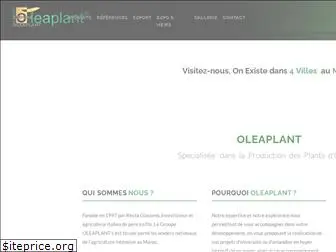 oleaplant.com