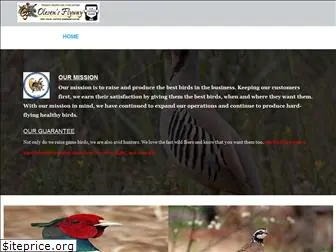 olesensflyway.com