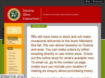 olivetrees.ca