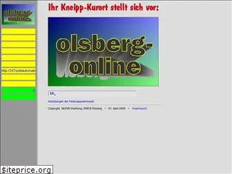 olsberg-online.de