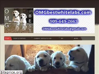 omgbestwhitelabs.com