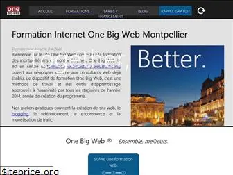 one-big-web.net