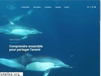 one-ocean-ngo.com