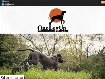 onelegupcanineco.com