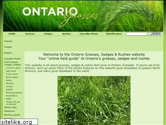 ontariograsses.com