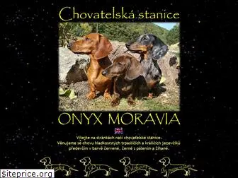 onyxmoravia.com