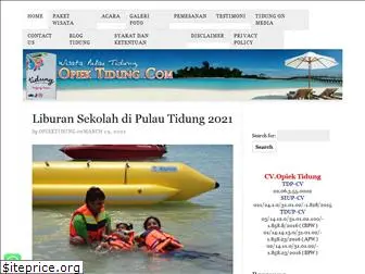 opiektidung.com