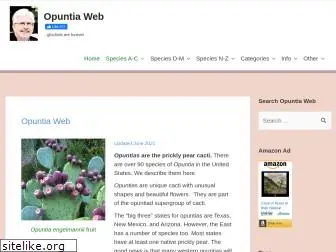 opuntiads.com