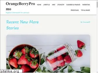 orangeberrypromo.com