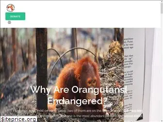 orangutan.net