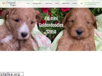 orchardpups.com