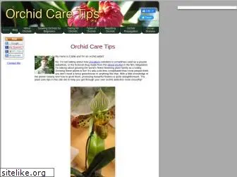 orchid-care-tips.com