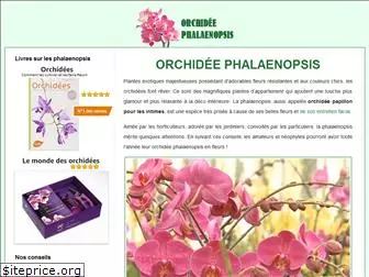orchidee-phalaenopsis.eu