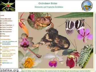 orchideen-bilder.de