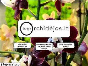 orchidejos.lt