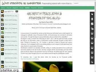 orchidofsumatra.blogspot.com