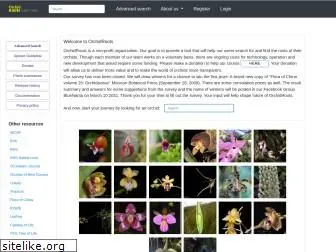 orchidroots.com