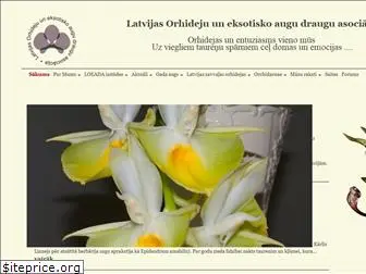 orchids-loeada.lv