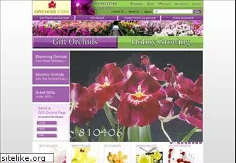 orchids.com