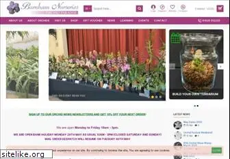 orchids.uk.com