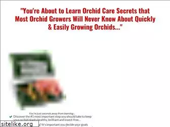 orchidsecretsrevealed.com