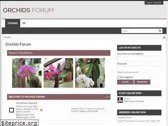 orchidsforum.com