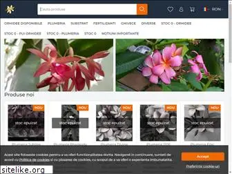 orchidsmania.com