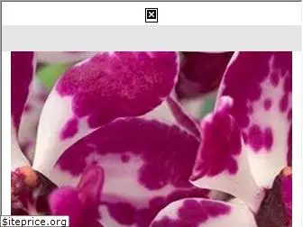 orchidweb.com