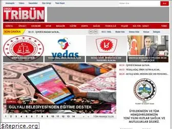 ordutribungazetesi.com