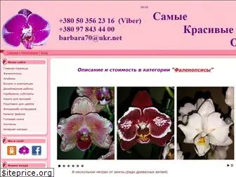 orhidei.at.ua
