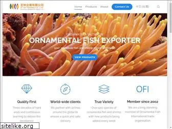 ornamentalfish.com.tw