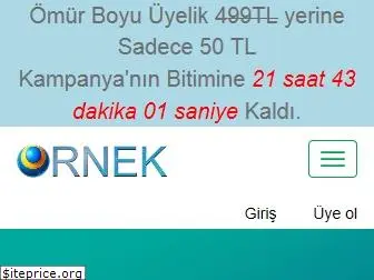 ornek.org