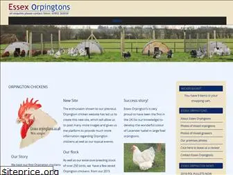 orpingtonchickens.co.uk